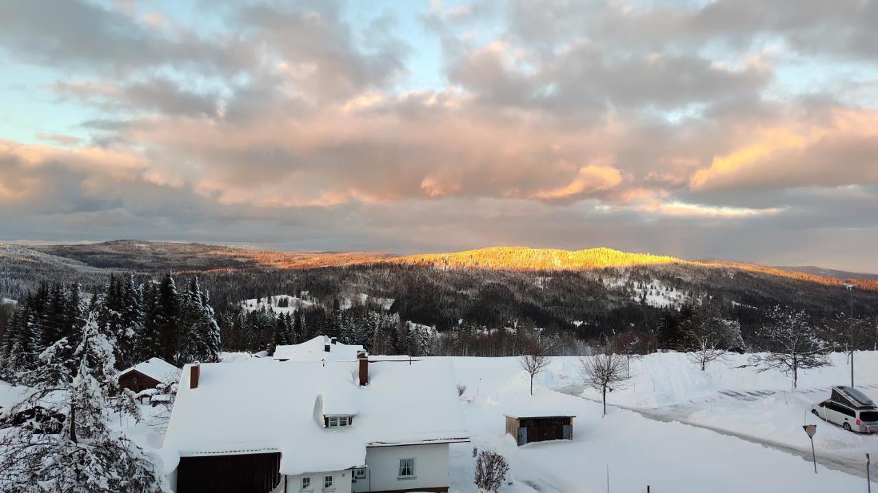 Two Apartaments Almberg - Mitterdorf-มิทเทอร์ฟีร์มิอันส์รอยท์ ภายนอก รูปภาพ