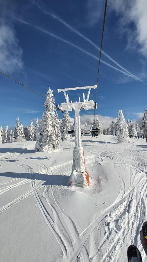 Two Apartaments Almberg - Mitterdorf-มิทเทอร์ฟีร์มิอันส์รอยท์ ภายนอก รูปภาพ