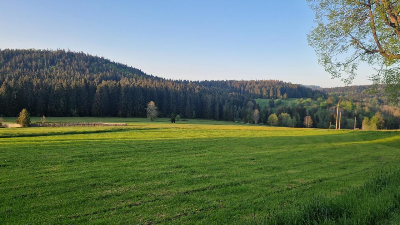 Two Apartaments Almberg - Mitterdorf-มิทเทอร์ฟีร์มิอันส์รอยท์ ภายนอก รูปภาพ