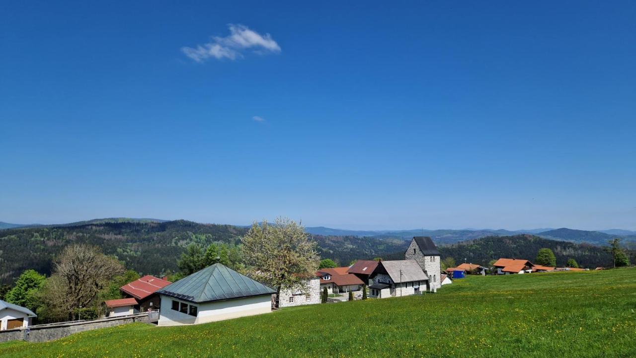 Two Apartaments Almberg - Mitterdorf-มิทเทอร์ฟีร์มิอันส์รอยท์ ภายนอก รูปภาพ